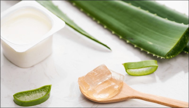 Tổng Hợp Cách Làm Đẹp Bằng Nha Đam Đơn Giản Và Hiệu Quả