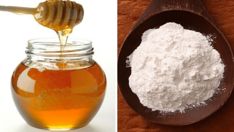TOP 5 Cách Tẩy Tế Bào Chết Môi Tốt Nhất Cho Môi Căng Mọng