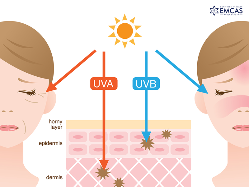 Một Số Bí Quyết Căng Da Mặt