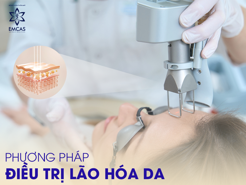 Danh Sách Những Thực Phẩm Chống Lão Hóa Da