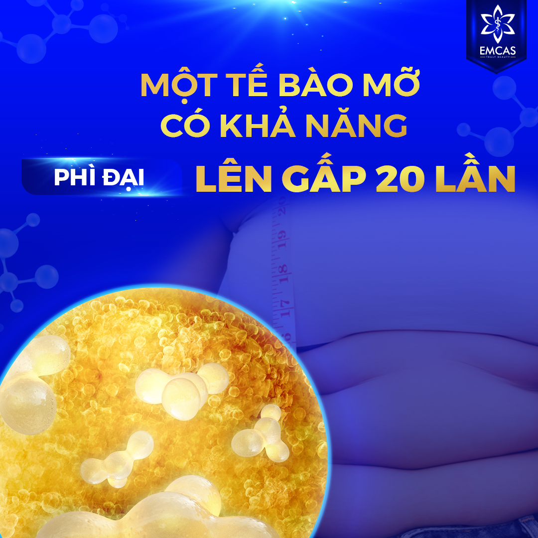 Những Lầm Tưởng Của Bạn Trong Giảm Cân