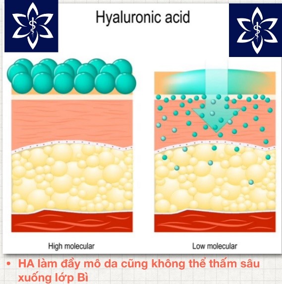So Sánh Mỹ Phẩm Dưỡng Da & Mỹ Phẩm Sinh Học