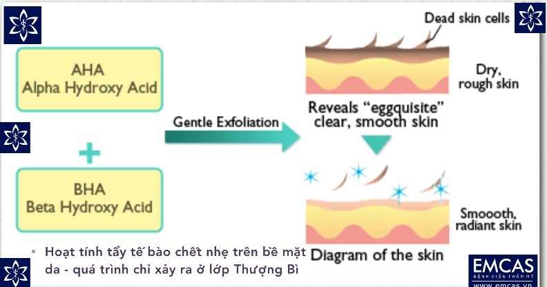 So Sánh Mỹ Phẩm Dưỡng Da & Mỹ Phẩm Sinh Học