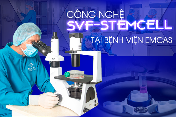 Công Nghệ SVF - STEMCELL - Chìa Khóa Kiểm Soát Cơn Bão CYTOKINE - Giảm Tỷ Lệ Tử Vong Của Bệnh Nhân Mắc COVID-19